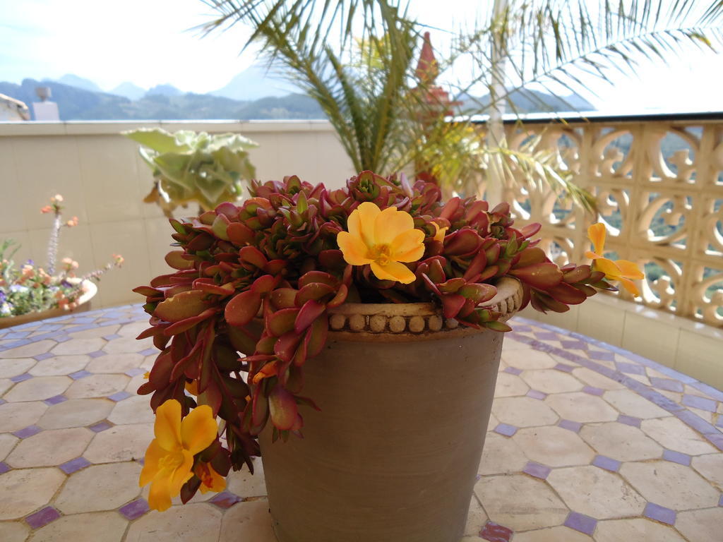Villa Pico - Charming B&B Sella Bagian luar foto